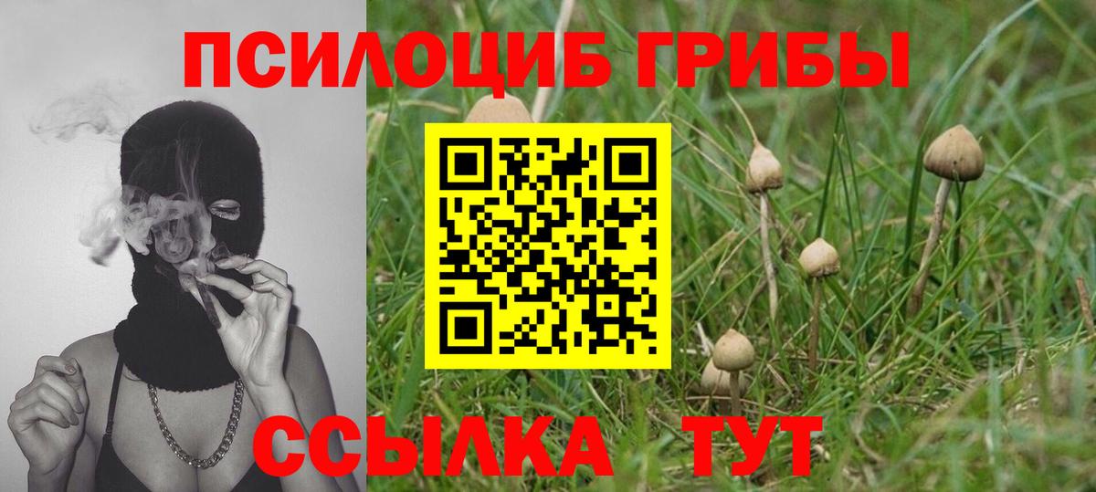 Галлюциногенные грибы Cubensis Гай